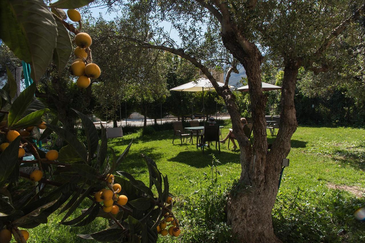 Creta Nostos Luxury Apartment Tsikalaria  Buitenkant foto